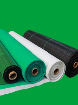 3e46c629-f5ae-47ed-a268-35b897c586f9