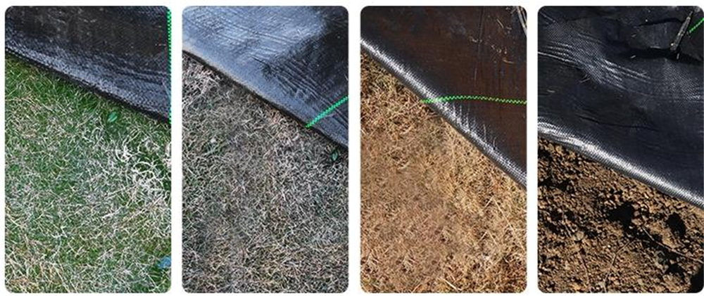 Permeable Landscape Fabric