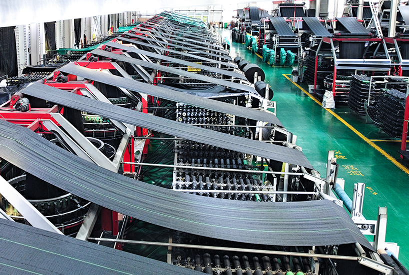 factory strength (2)